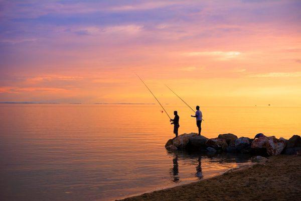 tourism board goes fishing for local solution